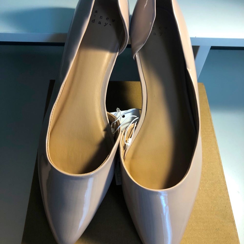 Blush Pointed Toe Flats (Patent Leather Material)
